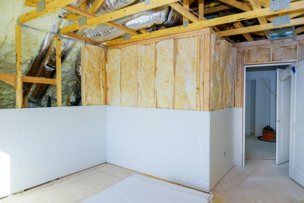 Best Types of Insulation in Silver Lakes, CA
